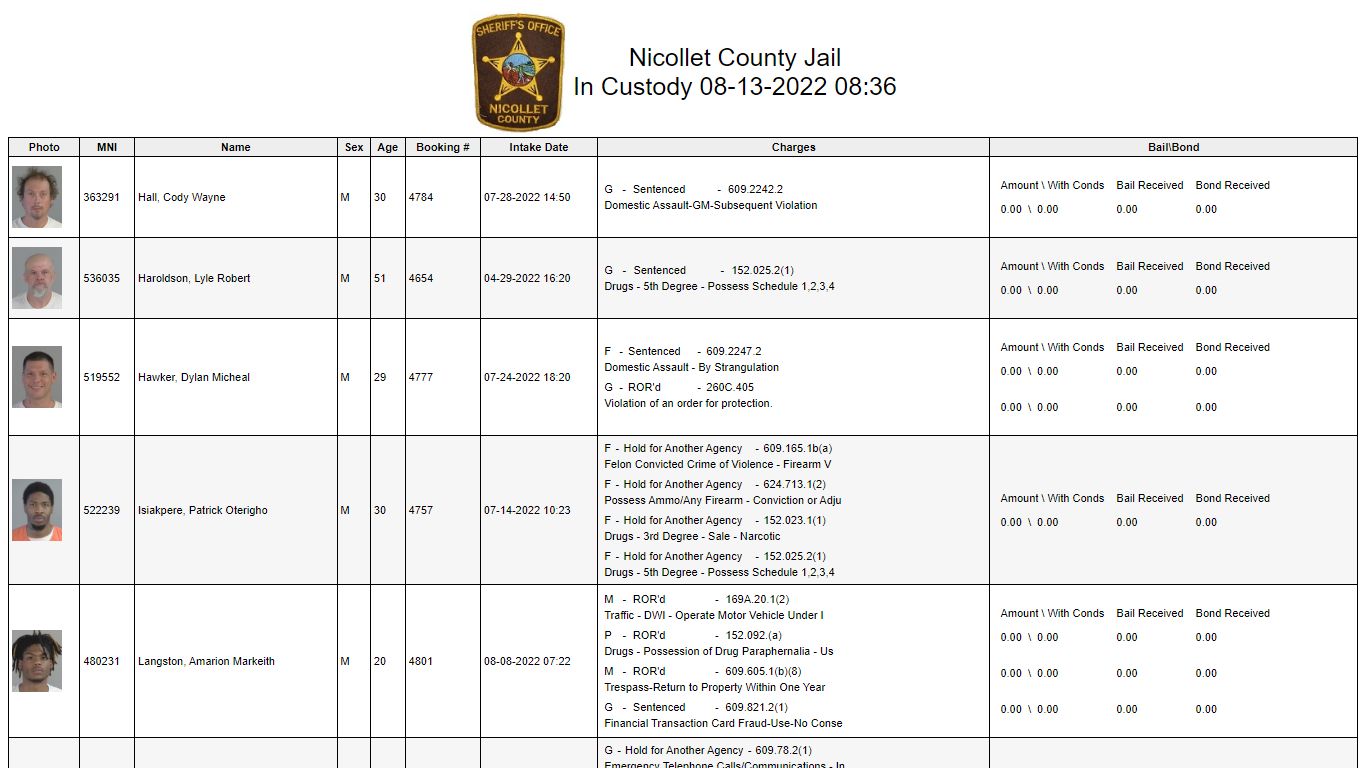 Custody - Nicollet County, Minnesota