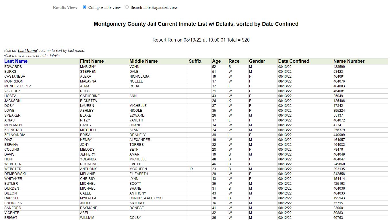 Jail Roster